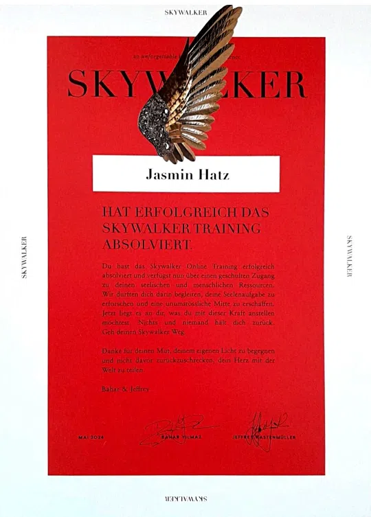 Skywalker - Die Kraft meines Warums Zertifikat